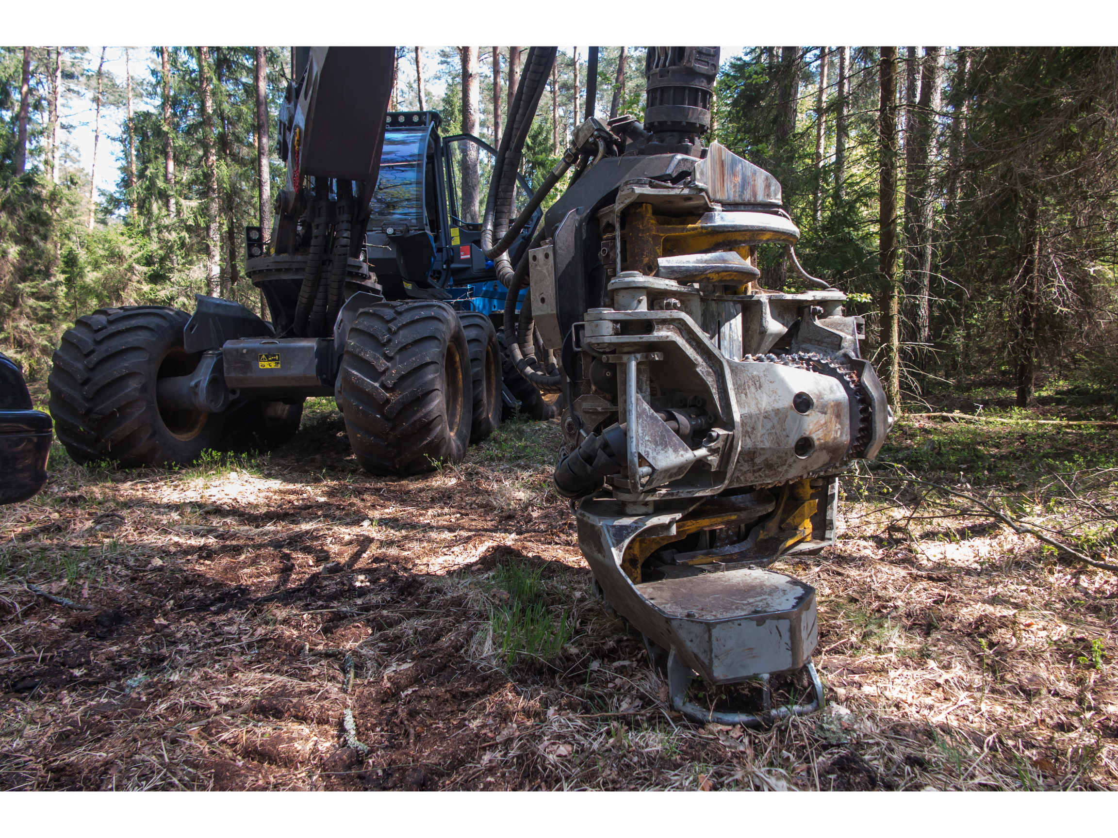 How to Transport Forestry Equipment from a Heavy Equipment Auction